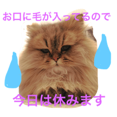 [LINEスタンプ] 使い道に困るエルたんスタンプ
