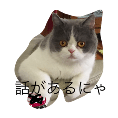 [LINEスタンプ] ブリショーのジャン