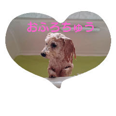 [LINEスタンプ] といぷーのこはる