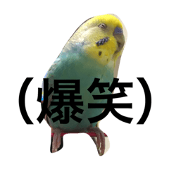 [LINEスタンプ] パズーくん