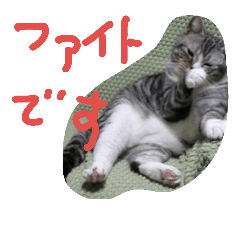 [LINEスタンプ] 龍馬だよ