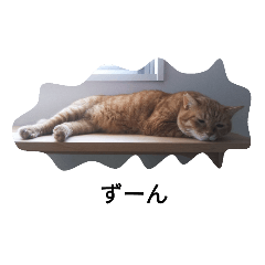 [LINEスタンプ] もんとら1