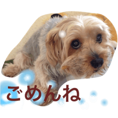 [LINEスタンプ] My dear brother