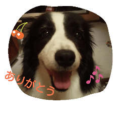 [LINEスタンプ] Hanabi no stamp