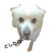[LINEスタンプ] Alright's sticker
