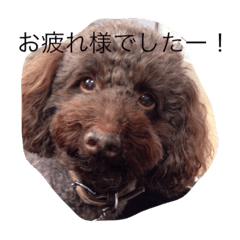 [LINEスタンプ] バタジャム