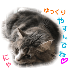 [LINEスタンプ] シェリーの日常