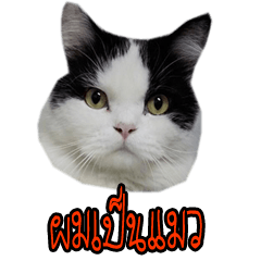 [LINEスタンプ] Yeye＆kumla