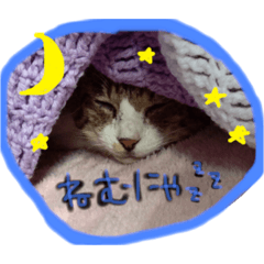 [LINEスタンプ] えるにゃ