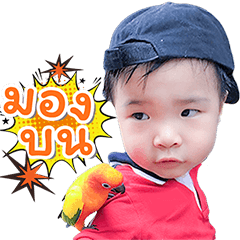 [LINEスタンプ] Nyle Version 2