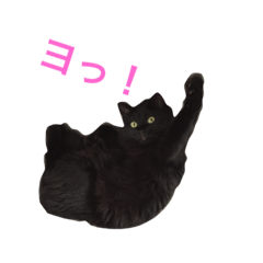 [LINEスタンプ] チョコちゃんの日常 壱の巻