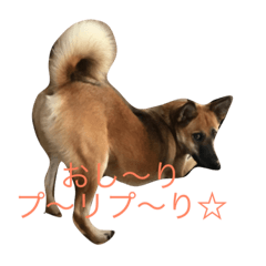 [LINEスタンプ] プリンと話そ2