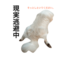 [LINEスタンプ] Bem Thin Pon