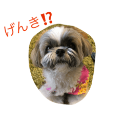 [LINEスタンプ] ddaisyy