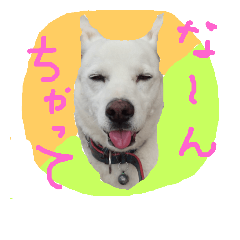 [LINEスタンプ] ボブ＆エマのつぶやき