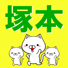 [LINEスタンプ] 超★塚本(つかもと・ツカモト)なネコの画像（メイン）