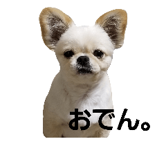 [LINEスタンプ] ペキチワおでん