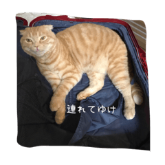 [LINEスタンプ] Uchi no stamp