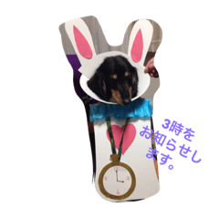 [LINEスタンプ] 林檎ちゃんち