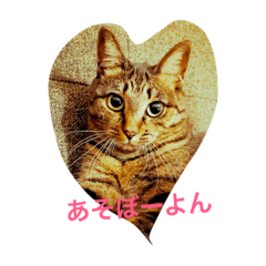 [LINEスタンプ] あられっぴ