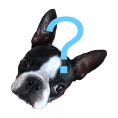 [LINEスタンプ] バジル＆チロル