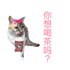 [LINEスタンプ] We are cute cats.