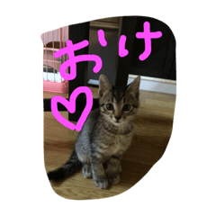 [LINEスタンプ] あいらぶしんちゃん1