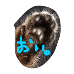 [LINEスタンプ] あいらぶしんちゃん2