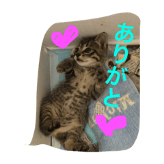 [LINEスタンプ] あいらぶしんちゃん3
