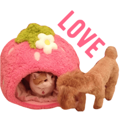 [LINEスタンプ] ヒッピー ＆ キャリー