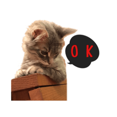 [LINEスタンプ] クイーンちゃん
