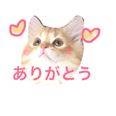 [LINEスタンプ] ラガマフィンのふーちゃん