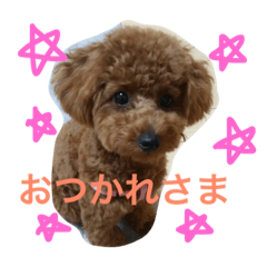 [LINEスタンプ] れいしゃん