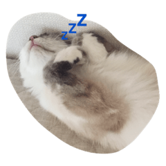 [LINEスタンプ] 日々プク