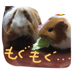 [LINEスタンプ] maro＆poh