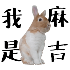 [LINEスタンプ] I'm MAJI