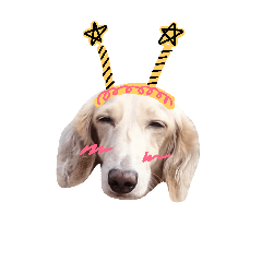 [LINEスタンプ] Dubby the hotdog