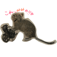 [LINEスタンプ] デグー みみたん