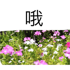 [LINEスタンプ] nature chinese