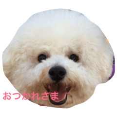 [LINEスタンプ] noenoe