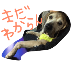 [LINEスタンプ] 河西ヒロ