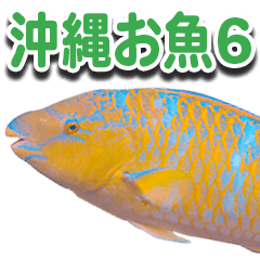[LINEスタンプ] 沖縄お魚6の画像（メイン）