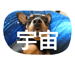 [LINEスタンプ] chunkun