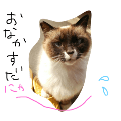 [LINEスタンプ] 幸福