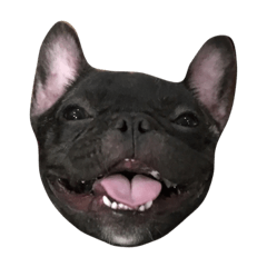 [LINEスタンプ] Jacob_theunderbite