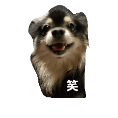 [LINEスタンプ] ポンヌ