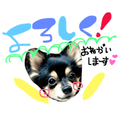 [LINEスタンプ] poco＆tsunastanp2