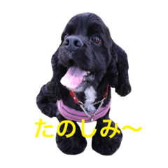 [LINEスタンプ] umi＆rita part2