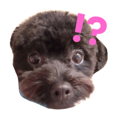[LINEスタンプ] ふくのスタンプ