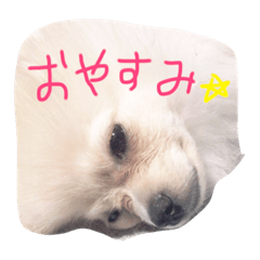 [LINEスタンプ] ぼく、コロン